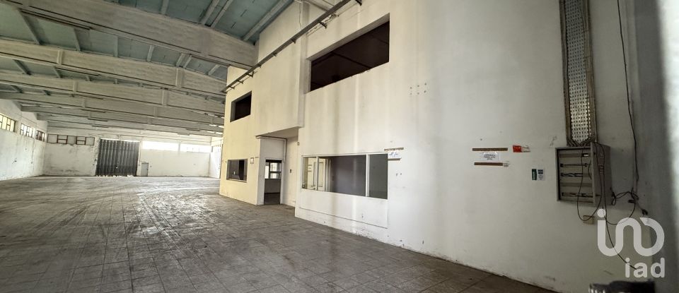 Loja / Estabelecimento Comercial em Constantim e Vale de Nogueiras de 2 362 m²
