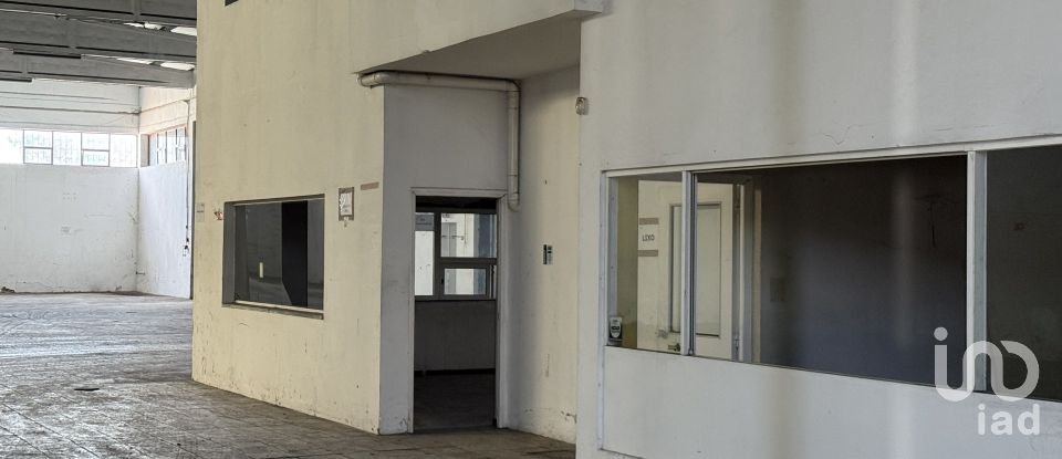 Loja / Estabelecimento Comercial em Constantim e Vale de Nogueiras de 2 362 m²