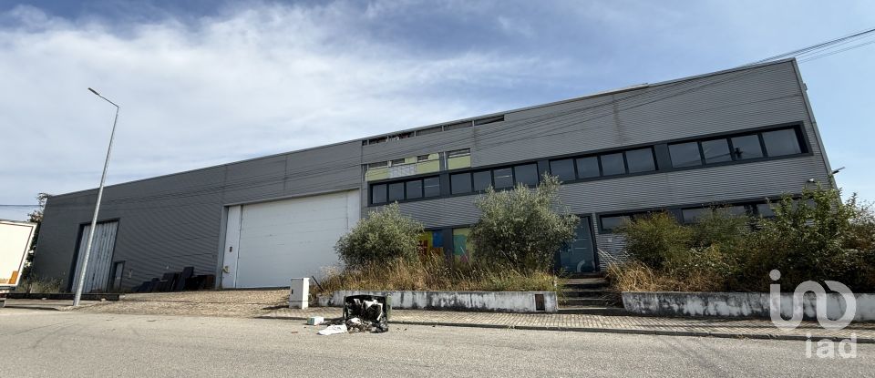 Loja / Estabelecimento Comercial em Constantim e Vale de Nogueiras de 2 362 m²