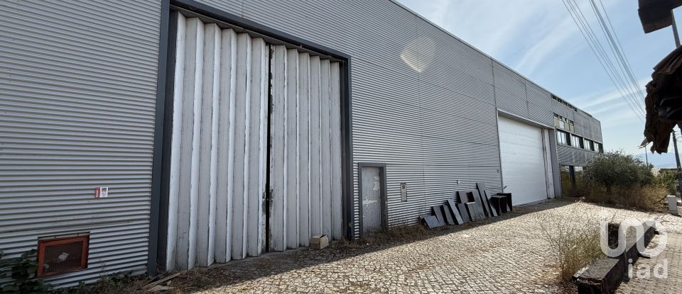 Loja / Estabelecimento Comercial em Constantim e Vale de Nogueiras de 2 362 m²