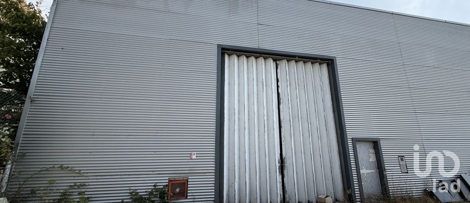 Loja / Estabelecimento Comercial em Constantim e Vale de Nogueiras de 2 362 m²