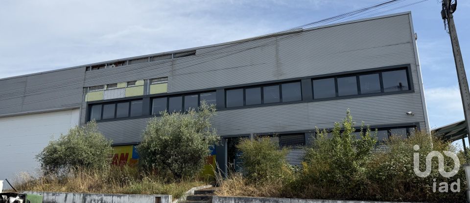 Loja / Estabelecimento Comercial em Constantim e Vale de Nogueiras de 2 362 m²