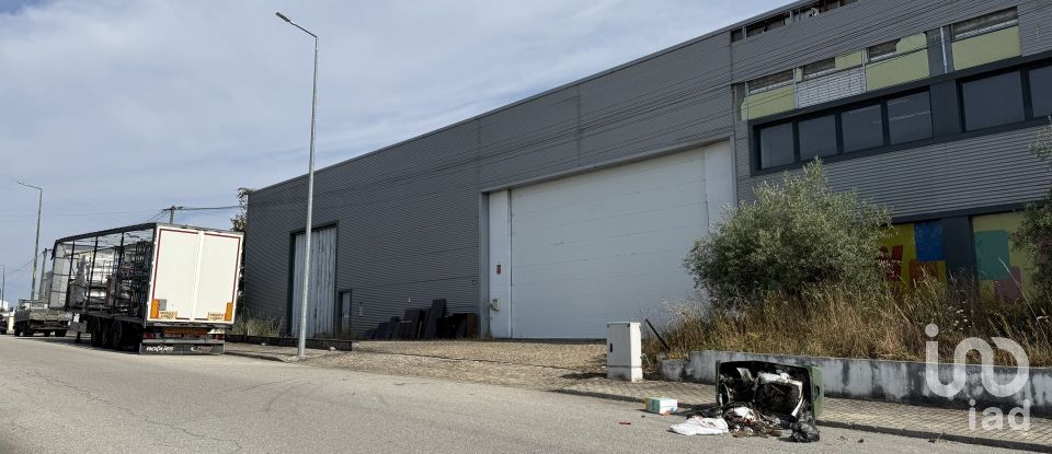 Loja / Estabelecimento Comercial em Constantim e Vale de Nogueiras de 2 362 m²