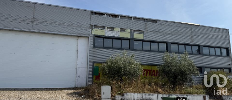 Loja / Estabelecimento Comercial em Constantim e Vale de Nogueiras de 2 362 m²