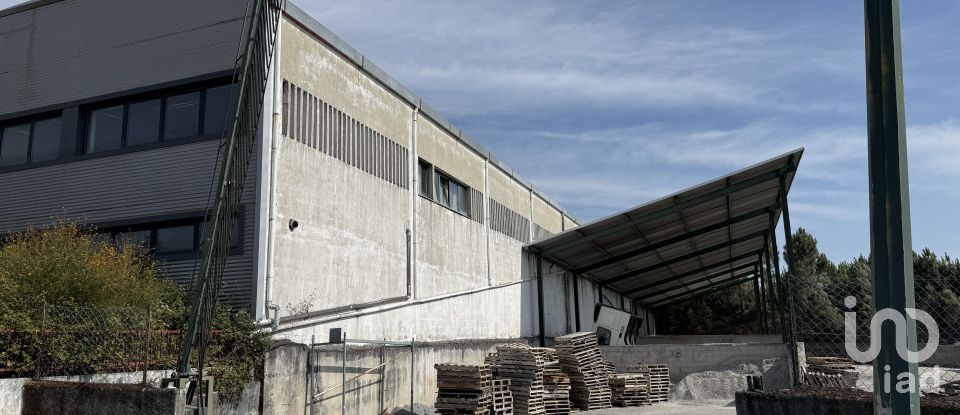 Loja / Estabelecimento Comercial em Constantim e Vale de Nogueiras de 2 362 m²