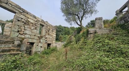 Domaine T5 à Boelhe de 700 m²