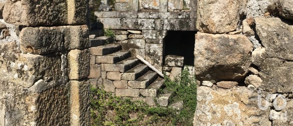 Herdade T5 em Boelhe de 700 m²