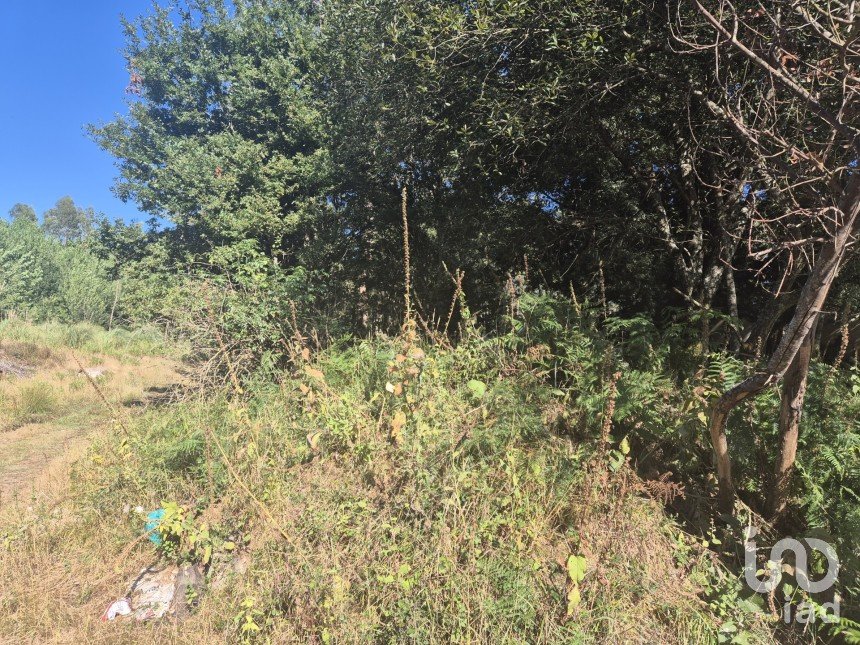 Terrain à Arrifana de 362 m²