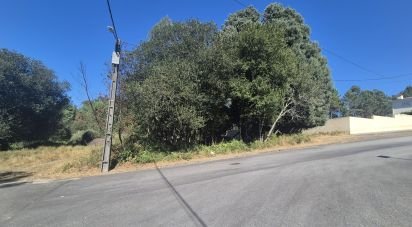 Terrain à Arrifana de 362 m²