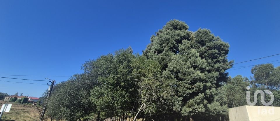 Terrain à Arrifana de 362 m²