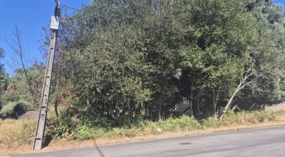 Terrain à Arrifana de 289 m²