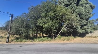 Terrain à Arrifana de 289 m²