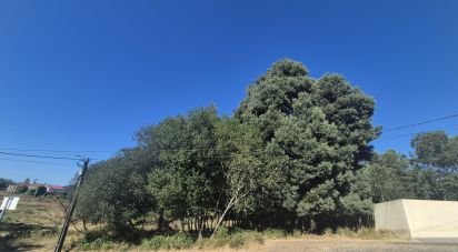 Terrain à Arrifana de 289 m²