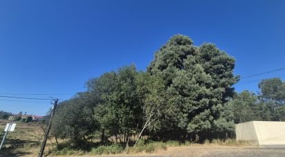 Terrain à Arrifana de 289 m²