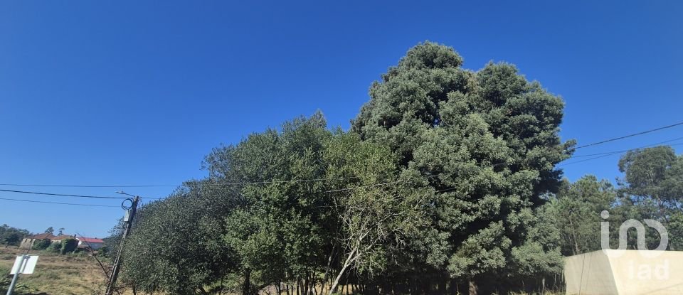 Terreno em Arrifana de 289 m²