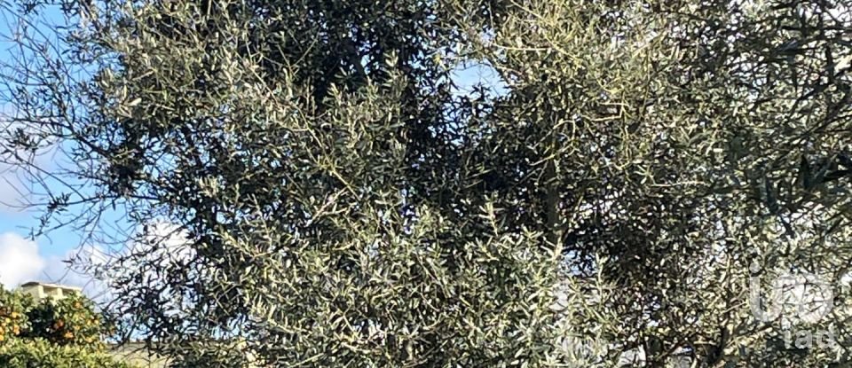 Moradia T4 em Grândola e Santa Margarida da Serra de 80 m²