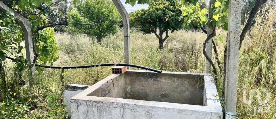 Moradia T4 em Grândola e Santa Margarida da Serra de 80 m²