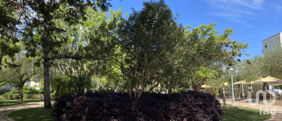 Moradia T4 em Grândola e Santa Margarida da Serra de 80 m²