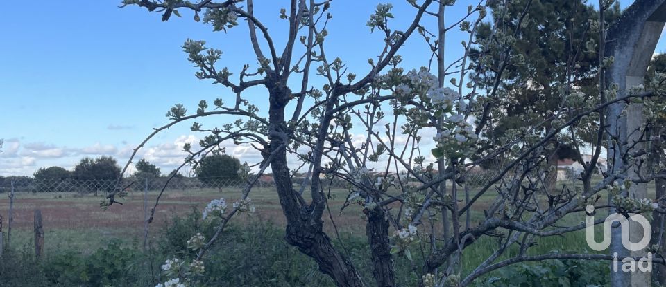 Moradia T4 em Grândola e Santa Margarida da Serra de 80 m²