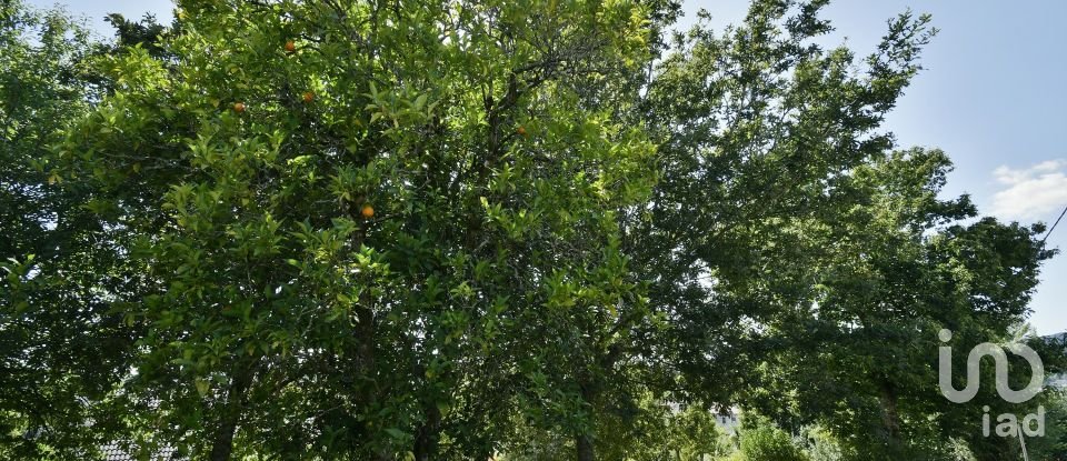 House T4 in Moure of 330 m²