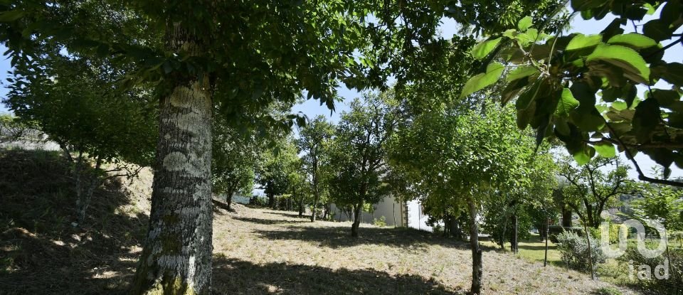 House T4 in Moure of 330 m²