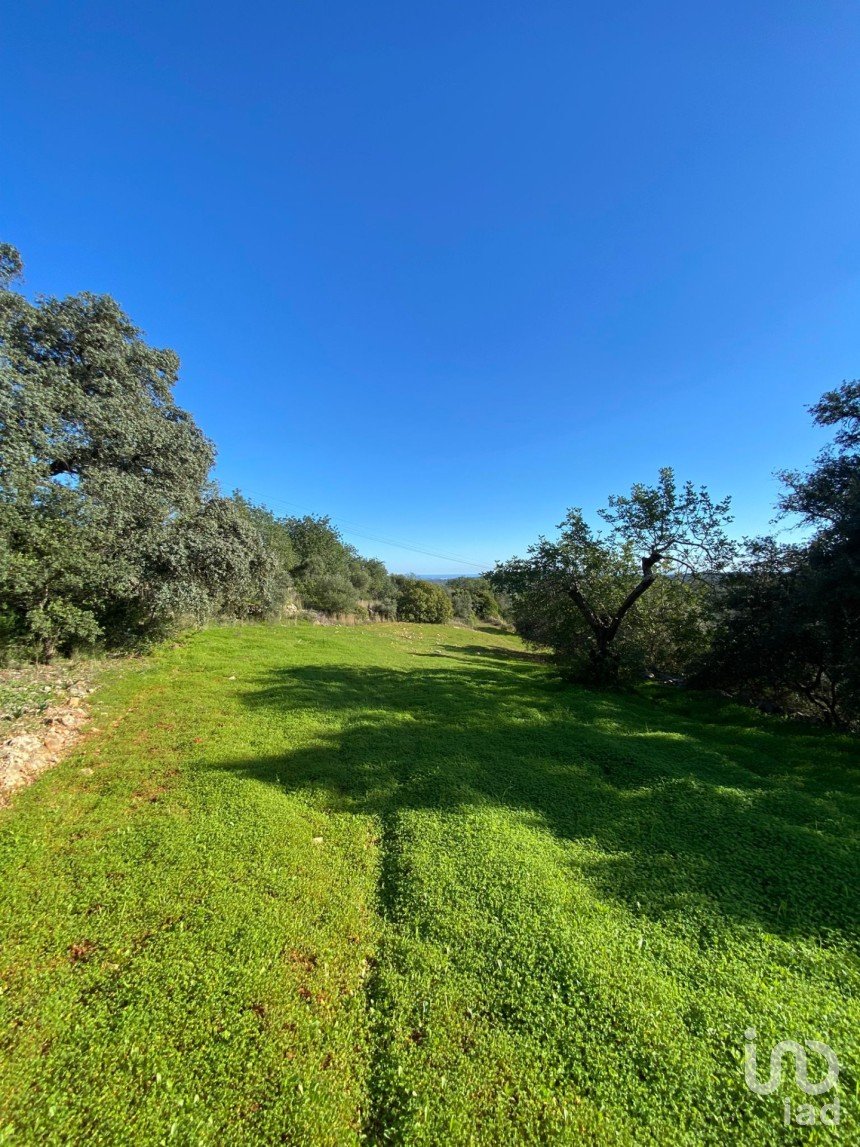 Land in São Brás de Alportel of 9,000 m²