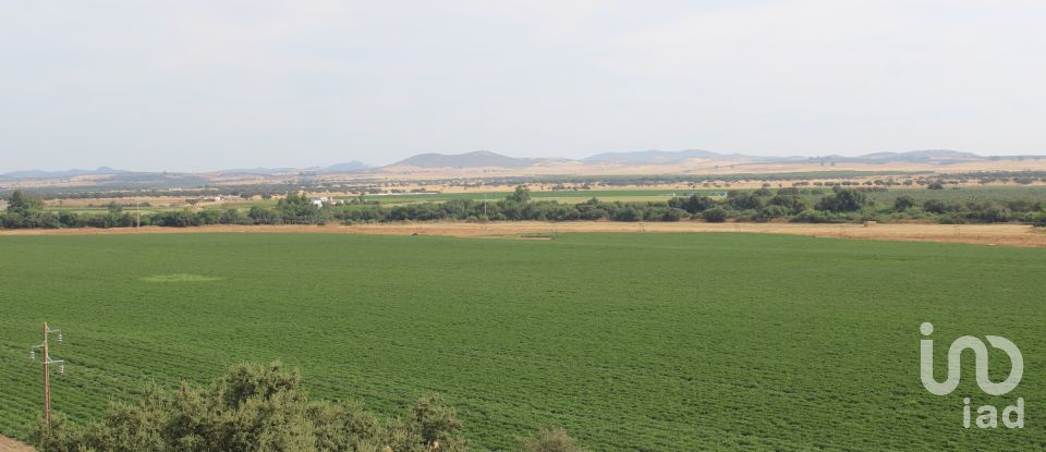 House T13 in São João Baptista of 583 m²