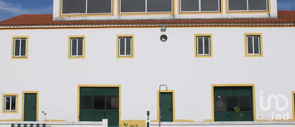 House T13 in São João Baptista of 583 m²