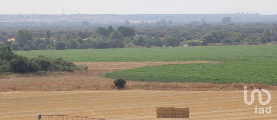 House T13 in São João Baptista of 583 m²