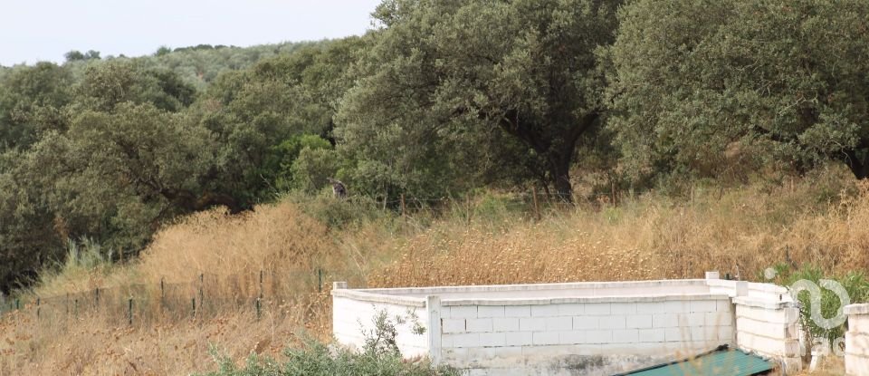 House T13 in São João Baptista of 583 m²