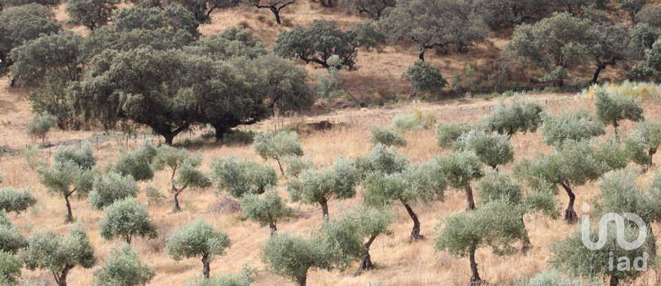 House T13 in São João Baptista of 583 m²