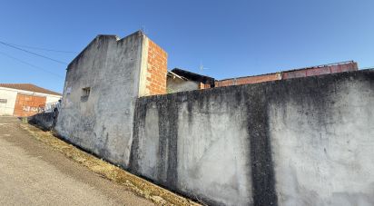 Maison T0 à Alcanede de 35 m²