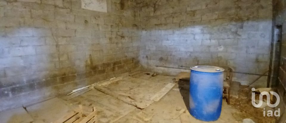 Farm T6 in Gonçalo of 215 m²