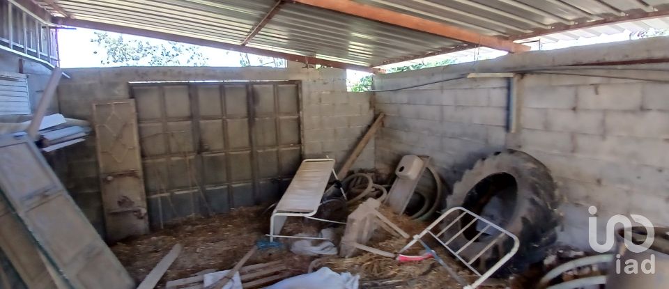 Farm T6 in Gonçalo of 215 m²