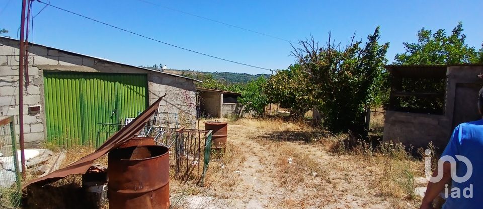 Farm T6 in Gonçalo of 215 m²