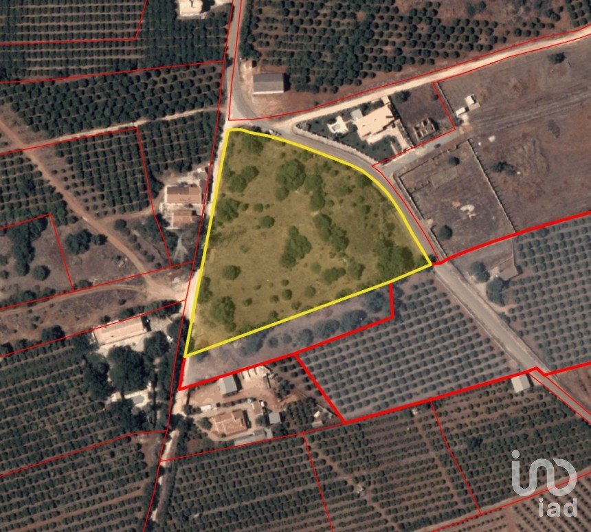 Terrain à Silves de 11 580 m²