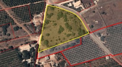 Terrain à Silves de 11 580 m²