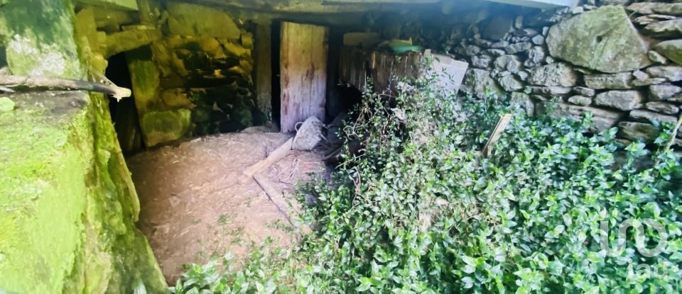 Moradia T6 em Candemil e Gondar de 258 m²