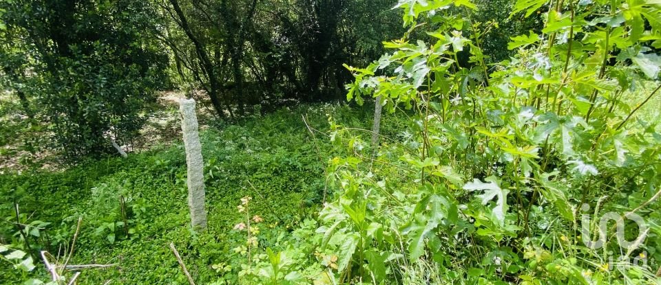 Moradia T6 em Candemil e Gondar de 258 m²