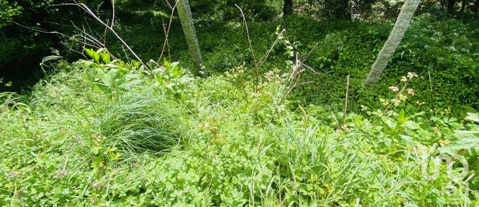 Moradia T6 em Candemil e Gondar de 258 m²