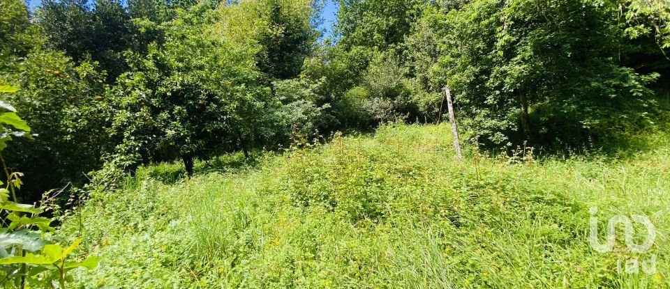 Moradia T6 em Candemil e Gondar de 258 m²