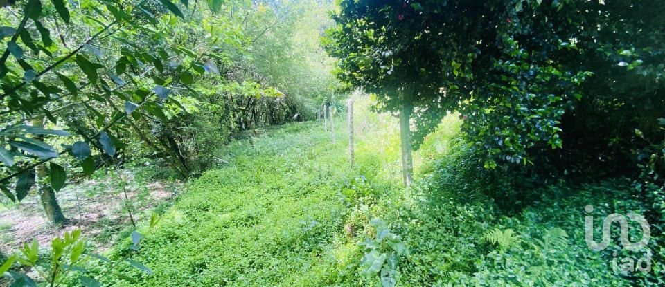 Moradia T6 em Candemil e Gondar de 258 m²