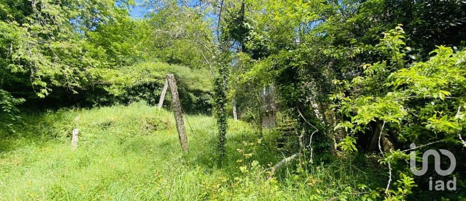 Moradia T6 em Candemil e Gondar de 258 m²