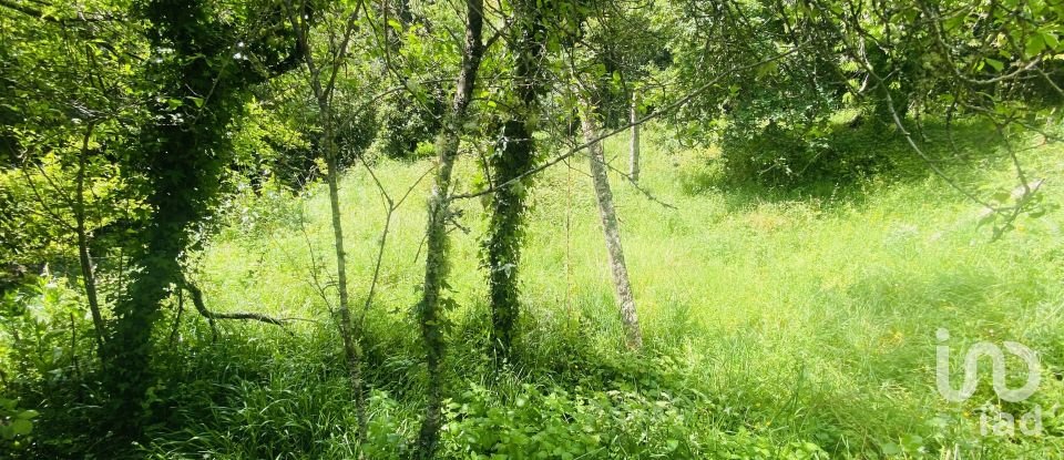 Moradia T6 em Candemil e Gondar de 258 m²