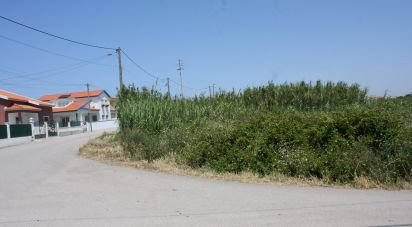 Terrain à A dos Cunhados e Maceira de 4 160 m²