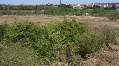 Terrain à A dos Cunhados e Maceira de 4 160 m²