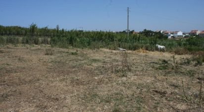 Terrain à A dos Cunhados e Maceira de 4 160 m²