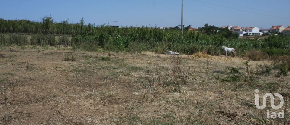 Terrain à A dos Cunhados e Maceira de 4 160 m²