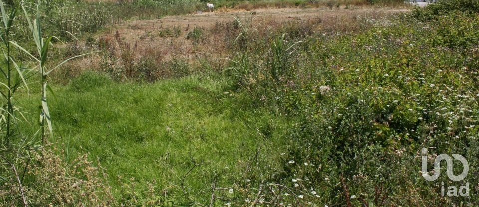 Terrain à A dos Cunhados e Maceira de 4 160 m²