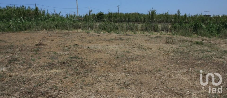 Terrain à A dos Cunhados e Maceira de 4 160 m²